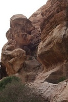 Canon EOS DIGITAL REBEL XSi, 2010:04:10 21:08:56 -- 1/100 sec, f/7.1.  No Flash, Compulsory.3088x2056 Off.