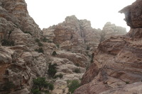 Canon EOS DIGITAL REBEL XSi, 2010:04:10 21:15:16 -- 1/160 sec, f/8.0.  No Flash, Compulsory.3088x2056 Off.