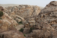 Canon EOS DIGITAL REBEL XSi, 2010:04:10 21:16:19 -- 1/160 sec, f/8.0.  No Flash, Compulsory.3088x2056 Off.