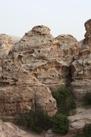 Canon EOS DIGITAL REBEL XSi, 2010:04:10 21:19:33 -- 1/125 sec, f/8.0.  No Flash, Compulsory.3088x2056 Off.