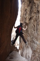 Canon EOS DIGITAL REBEL XSi, 2010:04:10 21:26:16 -- 1/30 sec, f/3.5.  No Flash, Compulsory.3088x2056 Off.