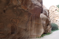 Canon EOS DIGITAL REBEL XSi, 2010:04:10 21:34:51 -- 1/50 sec, f/4.0.  No Flash, Compulsory.3088x2056 Off.