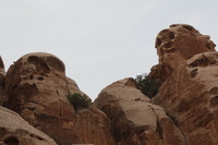 Canon EOS DIGITAL REBEL XSi, 2010:04:10 21:40:33 -- 1/125 sec, f/7.1.  No Flash, Compulsory.3088x2056 Off.