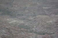 Canon EOS DIGITAL REBEL XSi, 2010:04:10 21:57:56 -- 1/250 sec, f/5.6.  No Flash, Compulsory.3088x2056 Off.