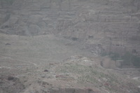 Canon EOS DIGITAL REBEL XSi, 2010:04:10 21:57:59 -- 1/250 sec, f/5.6.  No Flash, Compulsory.3088x2056 Off.