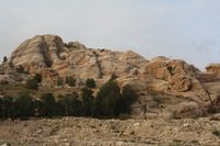 Canon EOS DIGITAL REBEL XSi, 2010:04:11 10:44:07 -- 1/200 sec, f/10.0.  No Flash, Compulsory.3088x2056 Off.