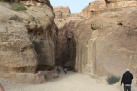 Canon EOS DIGITAL REBEL XSi, 2010:04:11 10:46:02 -- 1/160 sec, f/8.0.  No Flash, Compulsory.3088x2056 Off.