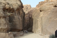 Canon EOS DIGITAL REBEL XSi, 2010:04:11 10:46:06 -- 1/160 sec, f/8.0.  No Flash, Compulsory.3088x2056 Off.