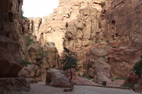 Canon EOS DIGITAL REBEL XSi, 2010:04:11 10:53:08 -- 1/100 sec, f/7.1.  No Flash, Compulsory.3088x2056 Off.