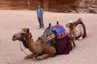 Canon EOS DIGITAL REBEL XSi, 2010:04:11 11:06:26 -- 1/60 sec, f/5.6.  No Flash, Compulsory.3088x2056 Off.