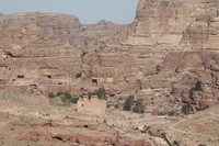 Canon EOS DIGITAL REBEL XSi, 2010:04:11 11:42:35 -- 1/400 sec, f/11.0.  No Flash, Compulsory.3088x2056 Off.