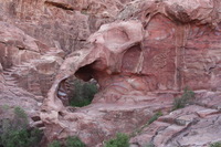 Canon EOS DIGITAL REBEL XSi, 2010:04:11 11:48:31 -- 1/100 sec, f/5.6.  No Flash, Compulsory.3088x2056 Off.