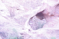 Canon EOS DIGITAL REBEL XSi, 2010:04:11 12:01:48 -- 1/125 sec, f/6.3.  No Flash, Compulsory.3088x2056 Off.