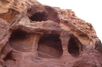 Canon EOS DIGITAL REBEL XSi, 2010:04:11 12:39:02 -- 1/100 sec, f/7.1.  No Flash.3088x2056 External Flash.