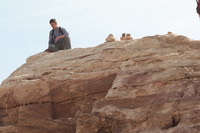 Canon EOS DIGITAL REBEL XSi, 2010:04:11 12:47:56 -- 1/250 sec, f/10.0.  No Flash.3088x2056 External Flash.