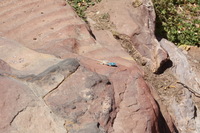 Canon EOS DIGITAL REBEL XSi, 2010:04:11 16:10:51 -- 1/400 sec, f/11.0.  No Flash, Compulsory.3088x2056 Off.