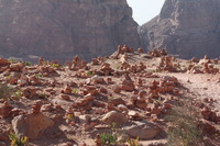 Canon EOS DIGITAL REBEL XSi, 2010:04:11 20:04:40 -- 1/250 sec, f/10.0.  No Flash, Compulsory.3088x2056 Off.