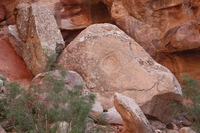 Canon EOS DIGITAL REBEL XSi, 2010:04:11 20:16:10 -- 1/100 sec, f/6.3.  No Flash, Compulsory.3088x2056 Off.