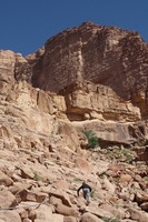 Canon EOS DIGITAL REBEL XSi, 2010:04:12 12:38:13 -- 1/250 sec, f/11.0.  No Flash, Compulsory.3088x2056 Off.