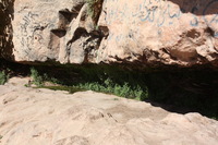 Canon EOS DIGITAL REBEL XSi, 2010:04:12 12:47:02 -- 1/250 sec, f/10.0.  No Flash, Compulsory.3088x2056 Off.