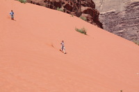 Canon EOS DIGITAL REBEL XSi, 2010:04:12 14:24:36 -- 1/1250 sec, f/9.0.  No Flash, Compulsory.3088x2056 Off.