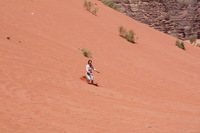 Canon EOS DIGITAL REBEL XSi, 2010:04:12 14:24:41 -- 1/1250 sec, f/9.0.  No Flash, Compulsory.3088x2056 Off.