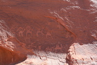 Canon EOS DIGITAL REBEL XSi, 2010:04:12 14:34:53 -- 1/200 sec, f/9.0.  No Flash, Compulsory.3088x2056 Off.