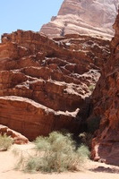 Canon EOS DIGITAL REBEL XSi, 2010:04:12 15:16:02 -- 1/200 sec, f/9.0.  No Flash, Compulsory.3088x2056 Off.