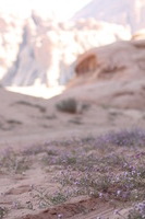 Canon EOS DIGITAL REBEL XSi, 2010:04:12 19:18:25 -- 1/160 sec, f/5.6.  No Flash, Compulsory.3088x2056 Off.