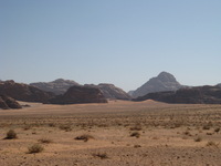 Canon PowerShot SD1100 IS, 2010:04:13 12:29:53 -- 1/200 sec, f/11.0.  No Flash, Auto.3264x2448 Red-Eye Reduction (Auto).