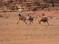 Canon PowerShot SD1100 IS, 2010:04:13 12:34:12 -- 1/640 sec, f/4.9.  No Flash, Auto.3264x2448 Red-Eye Reduction (Auto).