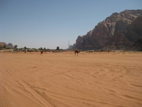 Canon PowerShot SD1100 IS, 2010:04:13 12:44:31 -- 1/320 sec, f/8.0.  No Flash, Auto.3264x2448 Red-Eye Reduction (Auto).