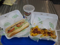 Canon PowerShot A590 IS, 2010:04:24 13:08:31 -- 1/60 sec, f/2.6.  No Flash, Auto.3264x2448 Red-Eye Reduction (Auto).