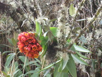 Canon PowerShot A590 IS, 2010:04:28 16:35:53 -- 1/80 sec, f/5.5.  No Flash, Auto.3264x2448 Red-Eye Reduction (Auto).