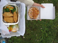 Canon PowerShot A590 IS, 2010:05:01 13:19:27 -- 1/320 sec, f/4.0.  No Flash, Auto.3264x2448 Red-Eye Reduction (Auto).