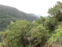 Canon PowerShot A590 IS, 2010:05:01 15:03:21 -- 1/80 sec, f/4.0.  No Flash, Auto.3264x2448 Red-Eye Reduction (Auto).