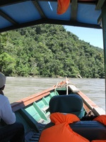 Canon PowerShot A590 IS, 2010:05:02 13:10:12 -- 1/250 sec, f/4.0.  No Flash, Auto.3264x2448 Red-Eye Reduction (Auto).