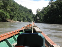 Canon PowerShot A590 IS, 2010:05:02 13:11:36 -- 1/500 sec, f/4.0.  No Flash, Auto.3264x2448 Red-Eye Reduction (Auto).