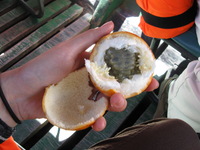 Canon PowerShot A590 IS, 2010:05:02 13:58:58 -- 1/60 sec, f/3.2.  No Flash, Auto.3264x2448 Red-Eye Reduction (Auto).