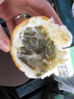 Canon PowerShot A590 IS, 2010:05:02 14:04:08 -- 1/60 sec, f/4.0.  No Flash, Auto.3264x2448 Red-Eye Reduction (Auto).