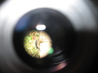 Canon PowerShot A590 IS, 2010:05:02 15:41:59 -- 1/60 sec, f/2.6.  Flash, Auto, Red-Eye Reduce.3264x2448 Red-Eye Reduction (Auto).