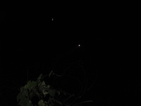 Canon PowerShot A590 IS, 2010:05:02 21:10:22 -- 1/60 sec, f/5.5.  Flash, Auto, Red-Eye Reduce.3264x2448 Red-Eye Reduction (Auto).