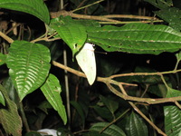 Canon PowerShot A590 IS, 2010:05:02 21:51:29 -- 1/60 sec, f/5.5.  Flash, Auto, Red-Eye Reduce.3264x2448 Red-Eye Reduction (Auto).