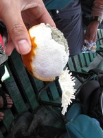 Canon PowerShot A590 IS, 2010:05:03 13:16:40 -- 1/100 sec, f/4.0.  No Flash, Auto.3264x2448 Red-Eye Reduction (Auto).