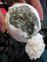 Canon PowerShot A590 IS, 2010:05:03 13:16:46 -- 1/160 sec, f/4.0.  No Flash, Auto.3264x2448 Red-Eye Reduction (Auto).