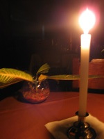 Canon PowerShot A590 IS, 2010:05:03 20:27:31 -- 1 sec, f/2.6.  No Flash, Compulsory.3264x2448 Off.