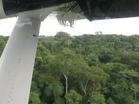 Canon PowerShot A590 IS, 2010:05:06 09:42:06 -- 1/100 sec, f/4.0.  No Flash, Auto.3264x2448 Red-Eye Reduction (Auto).