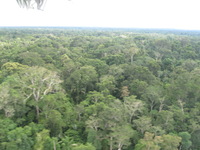 Canon PowerShot A590 IS, 2010:05:06 09:42:12 -- 1/60 sec, f/4.0.  No Flash, Auto.3264x2448 Red-Eye Reduction (Auto).