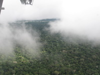 Canon PowerShot A590 IS, 2010:05:06 09:43:10 -- 1/250 sec, f/4.0.  No Flash, Auto.3264x2448 Red-Eye Reduction (Auto).