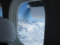 Canon PowerShot A590 IS, 2010:05:06 10:05:21 -- 1/250 sec, f/8.0.  No Flash, Compulsory.3264x2448 Off.